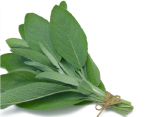 Sage Leaves